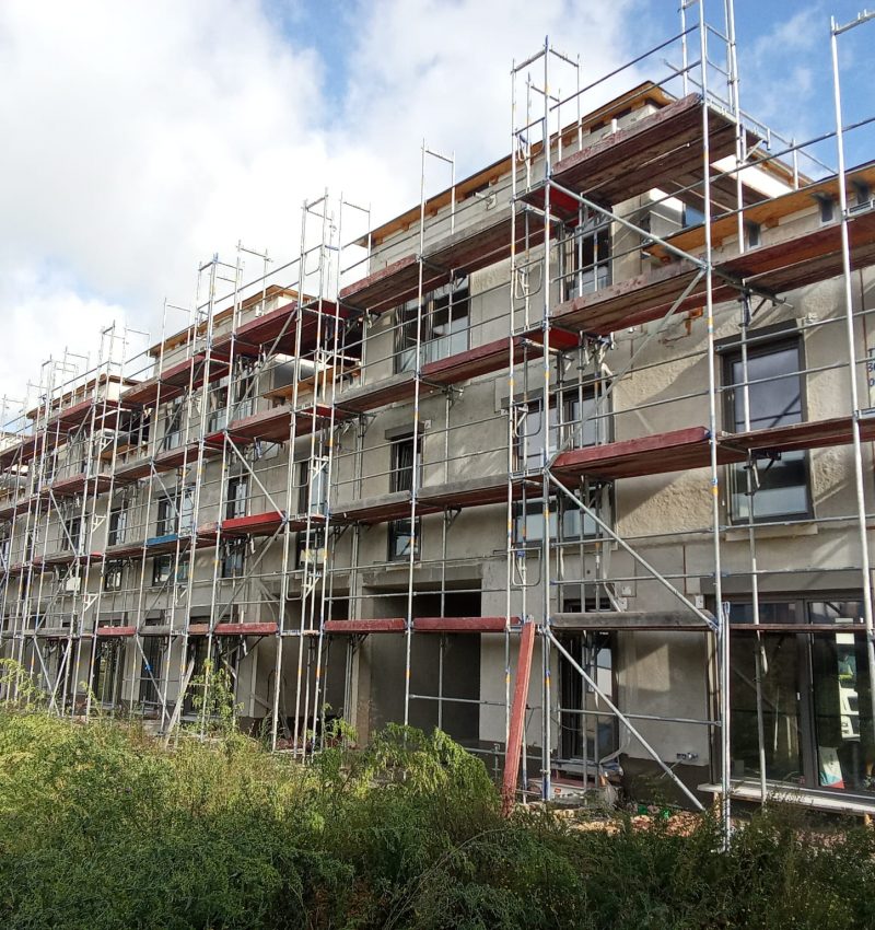 WhatsApp Image 2026-03-31 at 11.50.00