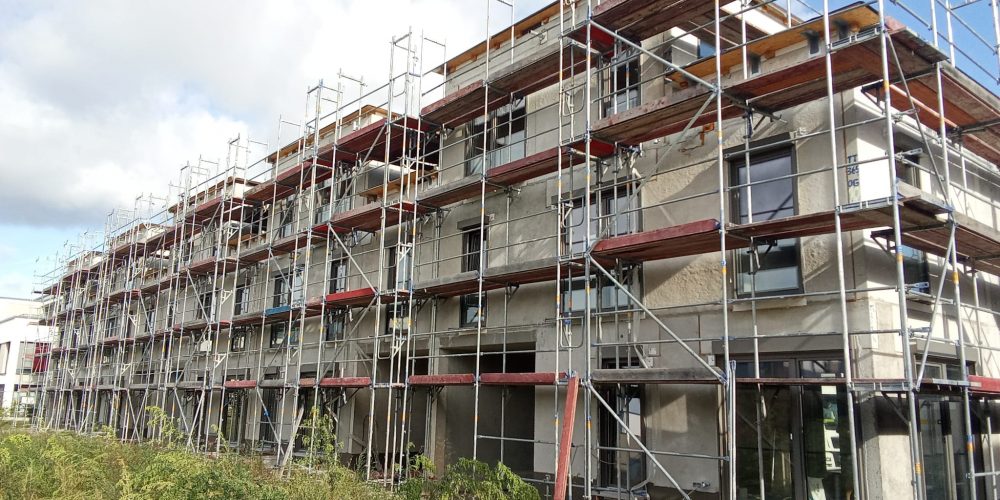 WhatsApp Image 2026-03-31 at 11.50.00