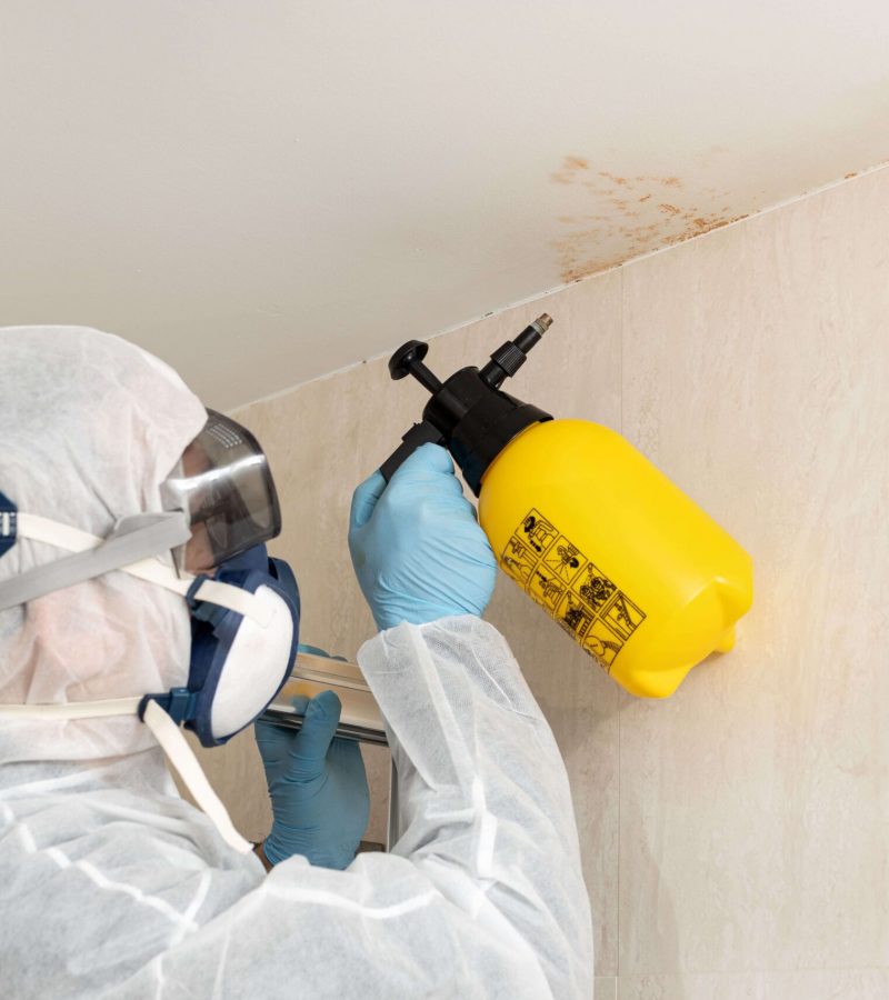 professional-cleaner-cleaning-mold-in-a-bathroom-w-2026-03-25-05-16-28-utc