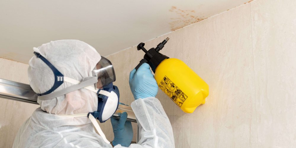 professional-cleaner-cleaning-mold-in-a-bathroom-w-2026-03-25-05-16-28-utc