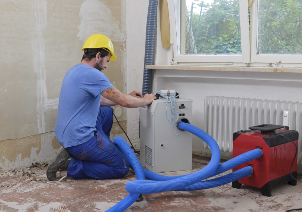 worker-adjusting-dehumidifier-in-an-apartment-whic-2026-03-09-06-06-22-utc